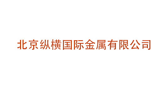 北京縱橫國際金屬有限公司企業(yè)戰(zhàn)略、組織結(jié)構(gòu)及流程再造管理咨詢