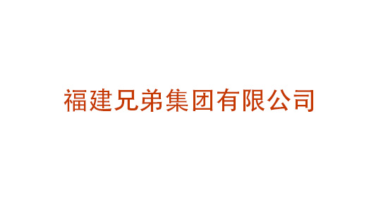 福建兄弟集團有限公司集團化管控體系設(shè)計
