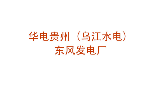 華電貴州（烏江水電）東風(fēng)發(fā)電廠企業(yè)文化提升管理咨詢